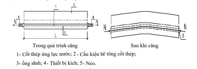 be_tong_du_ung_luc_cang_sau