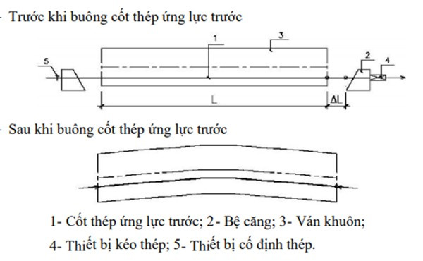 be_tong_du_ung_luc_cang_truoc