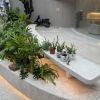 bon-cay-ghe-ngoi-terrazzo - ảnh nhỏ  1